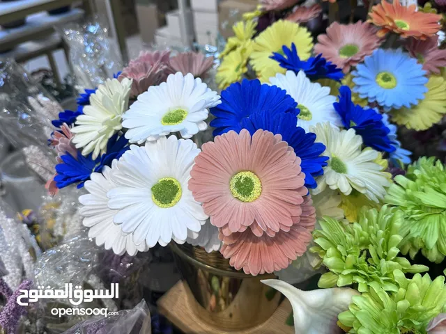 ابحث عن منسق ورد صناعي في مسقط