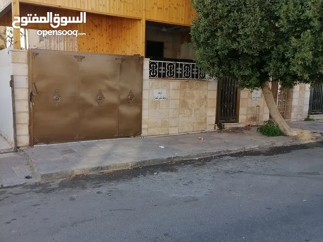 استديو مفروش للايجار الشهري بالمنطقة السادسة العقبة