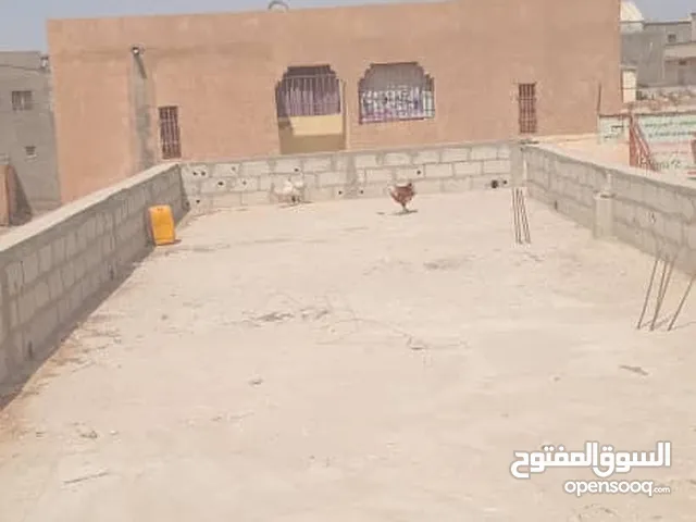 دجاج برلهما كوشين للبيع فرنسيه