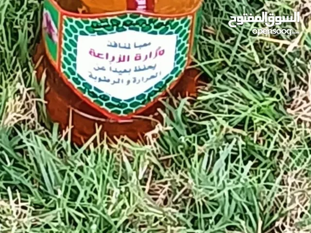 عسل نحل طبيعى