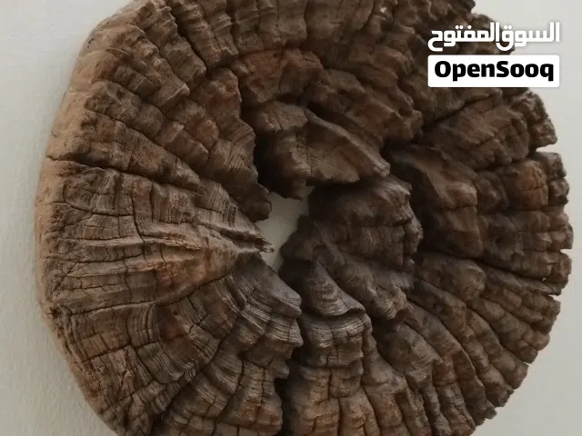 قطعة من الخشب لوحة فنية