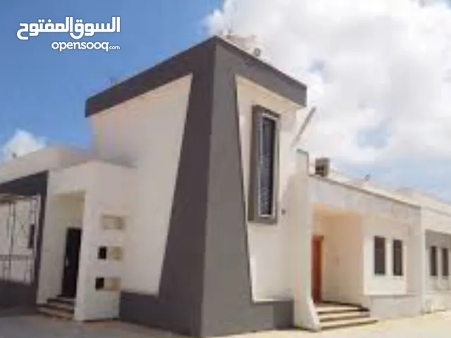 اسطي ستوك وزواق