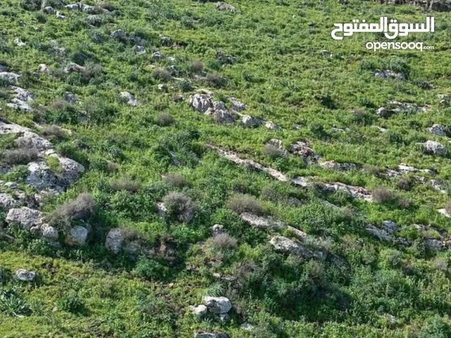 Mixed Use Land for Sale in Irbid Kufr Awan