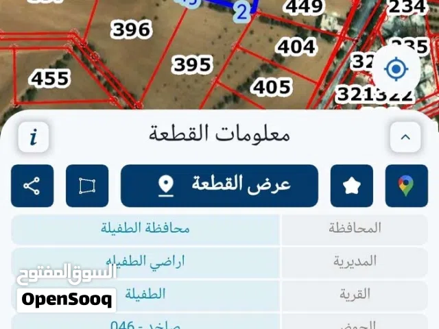 Mixed Use Land for Sale in Tafila Al-Ayes