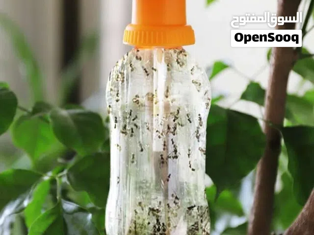 افخاخ ذبابة الفاكهة ب 700 بيسة كمية محدودة حتى نفاذ الكمية