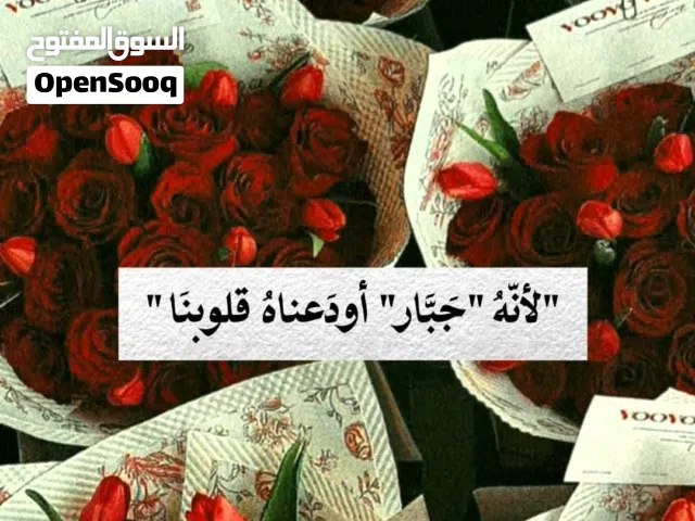 مطلوب- اريد شقه نظيفه غرفتين ومطبخ وحمام في هايل الرقاص او الزراعه