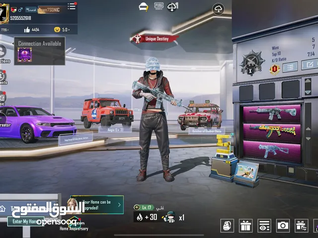 Pubg Accounts and Characters for Sale in Amman