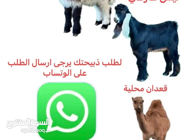 ذبائح نعيمي محلي