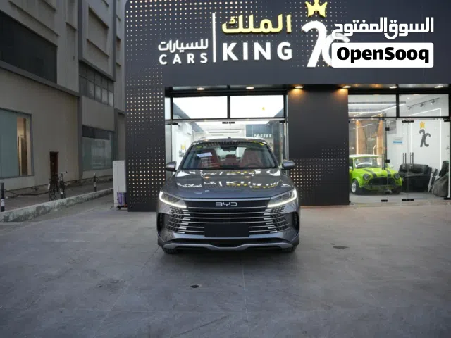 2025 بي واي دي سيليون