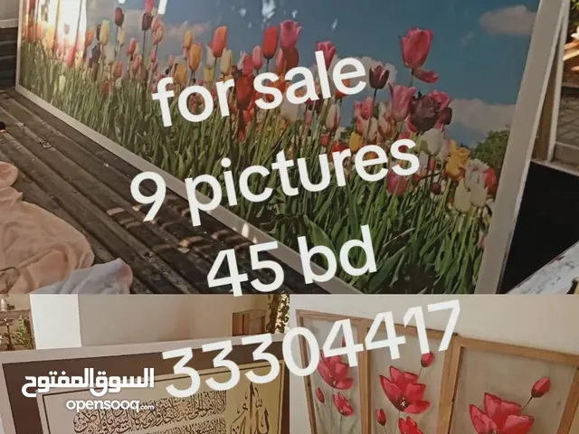 مجموعه صور احجام مختلفه