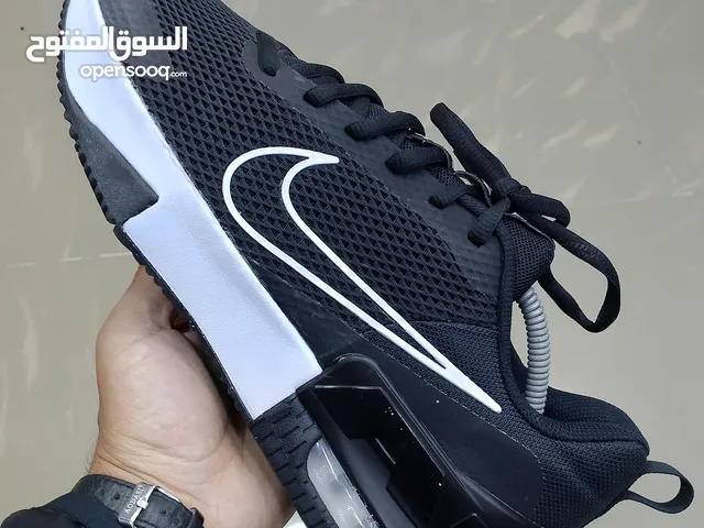 44 Sport Shoes in Irbid