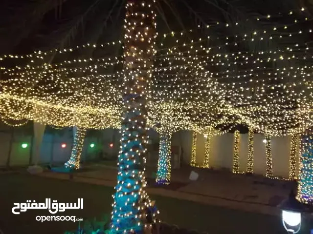 زخارف خفيفة/light decorations