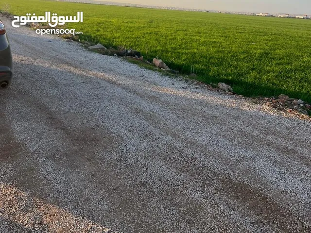ارض للبيع حواره الجور الشرقي اقل سعر بالحوض