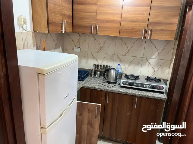 30 m2 Studio Apartments for Rent in Ramallah and Al-Bireh Ein Munjid