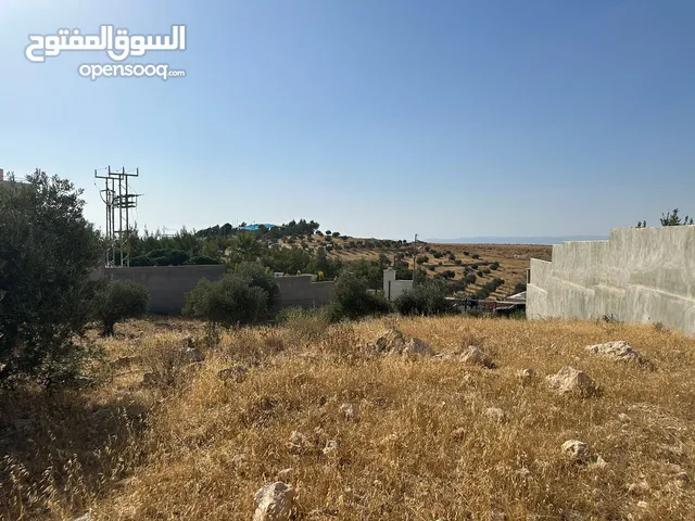 Mixed Use Land for Sale in Zarqa Al-Kamsha