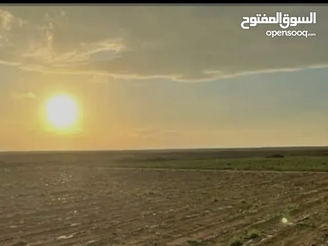 Farm Land for Sale in Irbid Al Sareeh