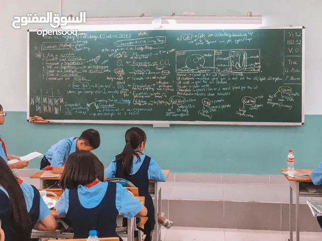 معلمة انجليزي تأسيس ودورة الأيلتس ودورة توفل بالعين( الجيمي)