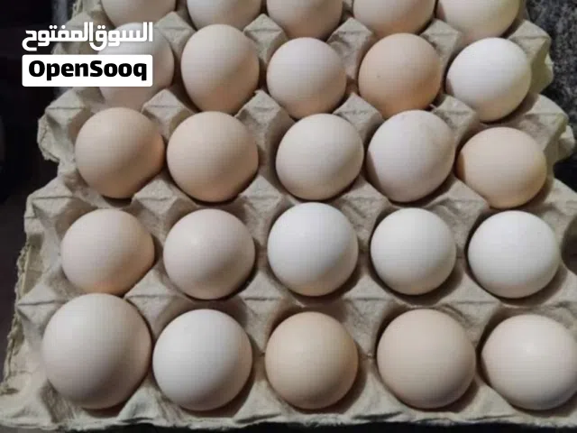 بيض محلي للأكل