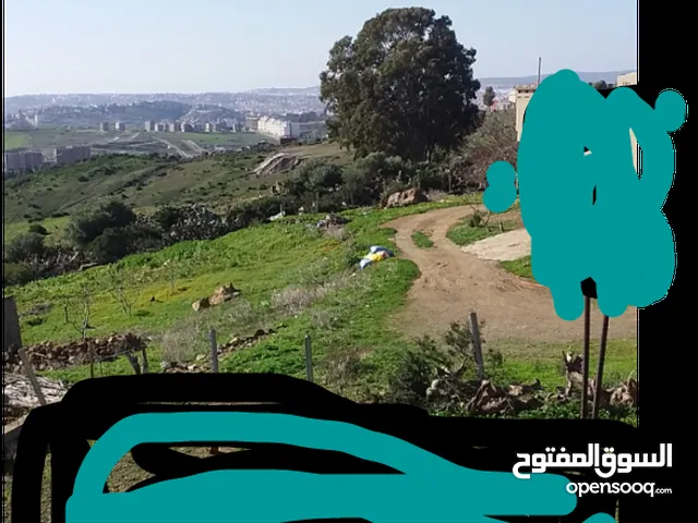 طنجة البليا حي اهررش