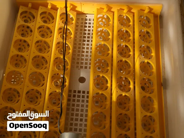 فقاسه 48 بيضه