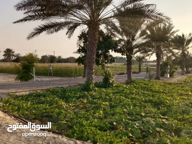 Farm Land for Sale in Abu Dhabi Other