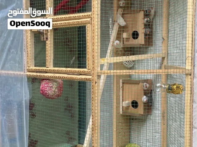 فناجس للبيع اقوه وصف