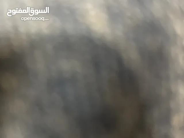 مستودع مخزن للايجار