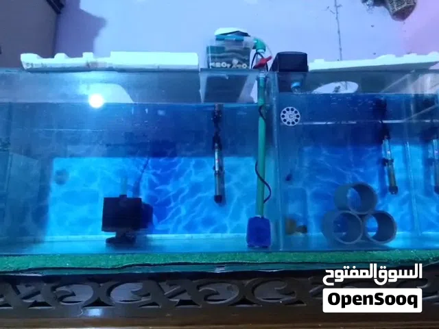 حوض سمك التفاصيل بالوصف