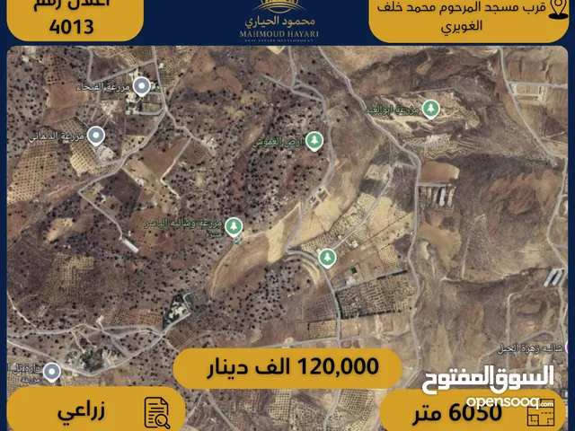 رقم الاعلان (4013) ارض زراعية للبيع باطلالة بانورامية في منطقة صروت