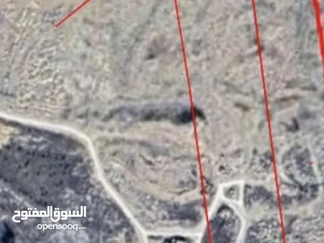 للبيع — فرصة استثمارية نادرة في ضاحية الشام (العقار 815)