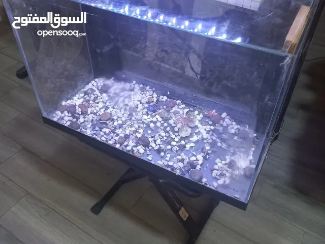 حوض سمك في حالة جيدة جدا
