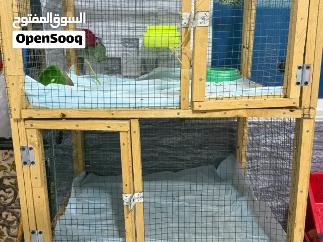 قفص طيور من 3 خانات منعزله