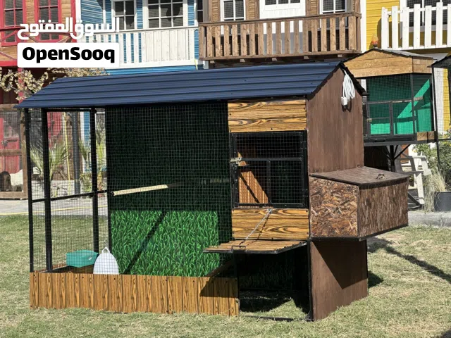 بيوت للدجاج