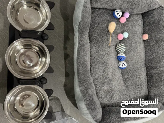 احتياجات قطط من اسره و وعاء اكل و لتر بوكس