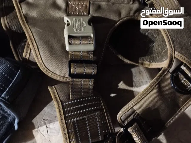 طوق امريكي k9