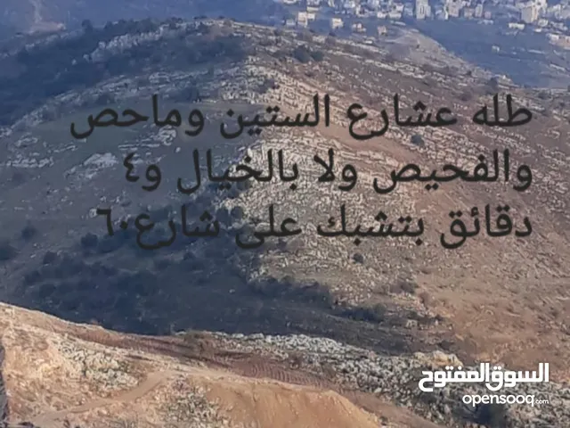 Mixed Use Land for Sale in Salt Wadi Shua'ib
