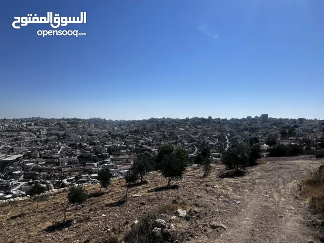 Mixed Use Land for Sale in Hebron Tapuah