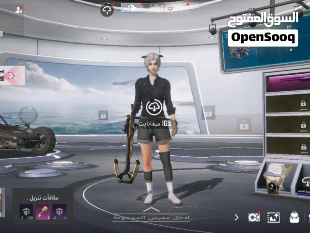 Pubg Accounts and Characters for Sale in Al Jahra