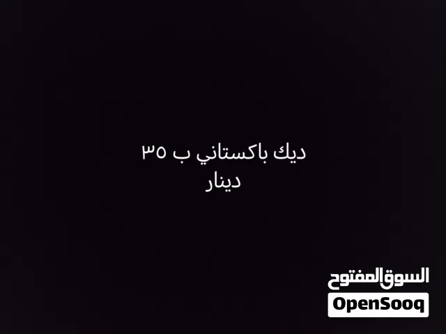 ديك باكستاني ب 35 دينار