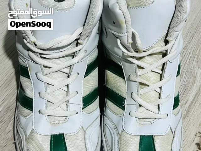 سبيدرو لي البيع