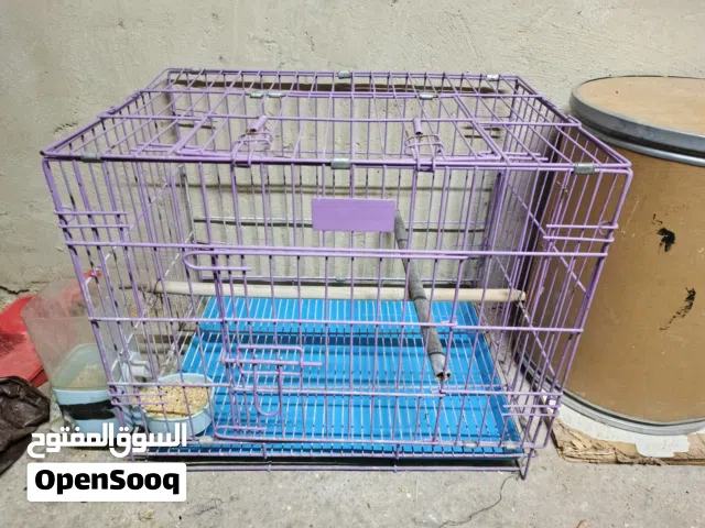 السلام عليكم ورحمه الله وبركاته متاح مطيرين وكالة واحد8 معالف والثاني مطير بسس