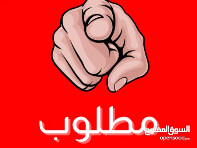 مطلوب شقة بطيرة لعرسان