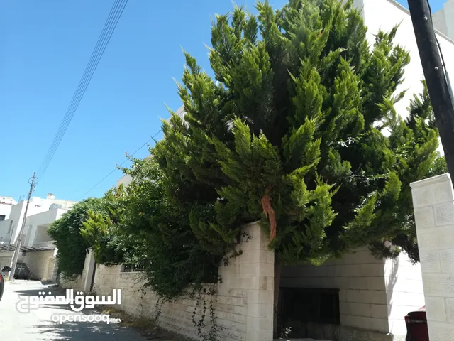 500 m2 More than 6 bedrooms Apartments for Sale in Amman 7th Circle