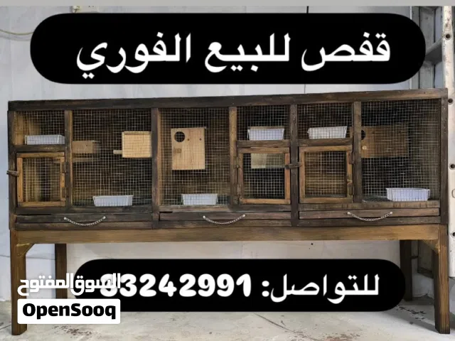 قفص للبيع الفوري، يُمكنك مُعاينته قبل الشراء