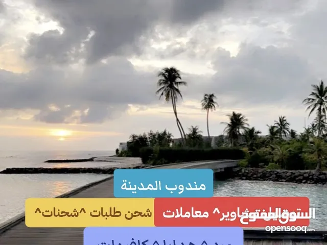 مندوب شحن وتوصيل المدينة