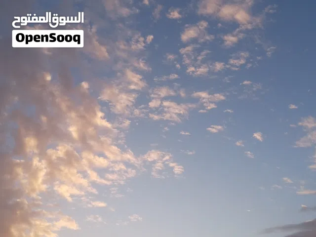 ارنب ارنب ارنب ارنب ارنب