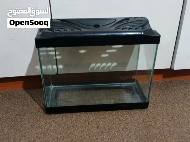 حوض اسماك زينة
