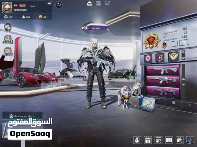 حساب ببجي للبيع