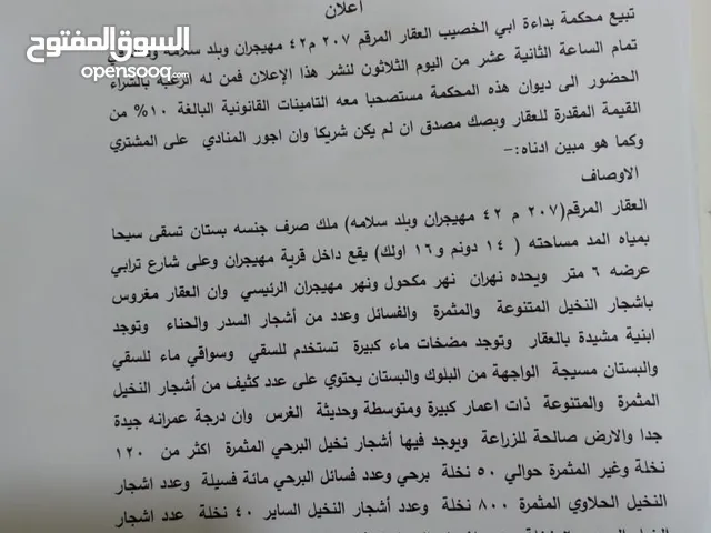 بستان للبيع. ارض زراعيه بحاله جيده للبيع صالحه للتقسيم. يمربها نهران تحتوي على مزروعات ومباني