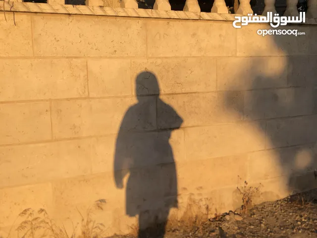 غدير جابر اسليمية